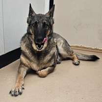 Thumbnail photo of Ava #2