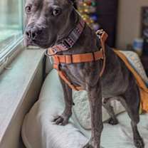 Thumbnail photo of Diner #1