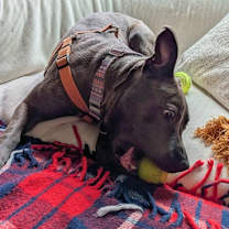 Thumbnail photo of Diner #2