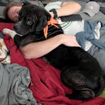 Thumbnail photo of Toddy #3