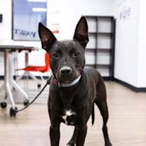 Thumbnail photo of Smoke #3