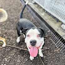 Thumbnail photo of Gumbo #2