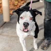 Thumbnail photo of Gumbo #3