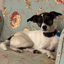 Thumbnail photo of Rita #2