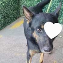 Thumbnail photo of Stitch* #2