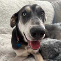 Thumbnail photo of Aurora #2