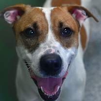 Thumbnail photo of Sasha #1