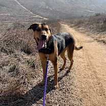 Thumbnail photo of Kitana  #3