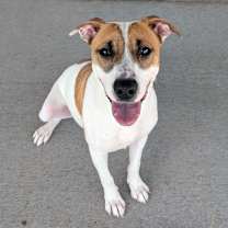 Thumbnail photo of Sasha #2