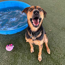 Thumbnail photo of Kitana  #4