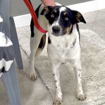 Thumbnail photo of Pretty #2