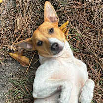 Thumbnail photo of Zan #1