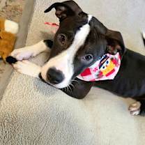 Thumbnail photo of Referee #1