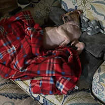 Thumbnail photo of Zan #2