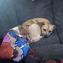 Thumbnail photo of Zan #3