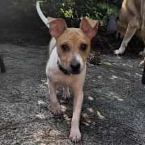 Thumbnail photo of Zan #4