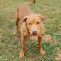 Thumbnail photo of Nosy Mosby #1