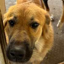 Thumbnail photo of Luna #1