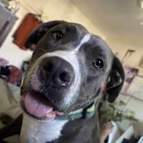 Thumbnail photo of Riley #2