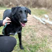 Thumbnail photo of Barney #4