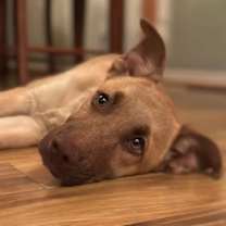 Thumbnail photo of Dia #3