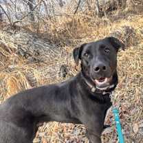 Thumbnail photo of Berto #1