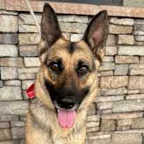 Thumbnail photo of Bonnie #1