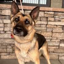 Thumbnail photo of Bonnie #2