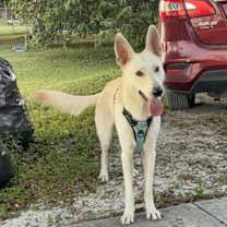 Thumbnail photo of Winter 3142 #1