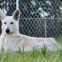 Thumbnail photo of Winter 3142 #2