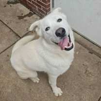 Thumbnail photo of Gravy #3