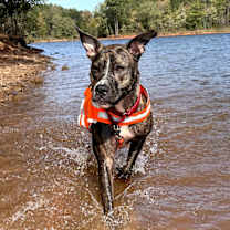 Thumbnail photo of Catcher #3