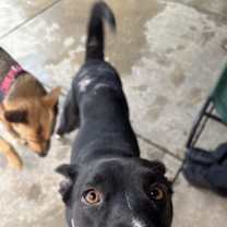 Thumbnail photo of Dime #2