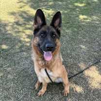 Thumbnail photo of Mindy #1