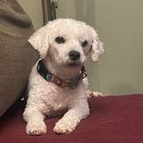 Thumbnail photo of Zipper #2