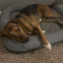 Thumbnail photo of Johnnie #2