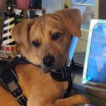 Thumbnail photo of Charlie #4