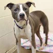 Thumbnail photo of Sky #3