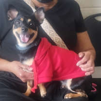 Thumbnail photo of Nyla* #1