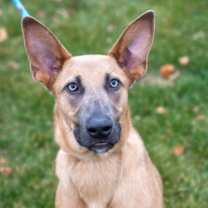 Thumbnail photo of Audrick #1