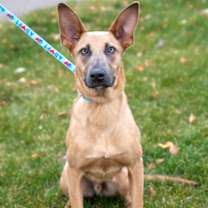 Thumbnail photo of Audrick #2