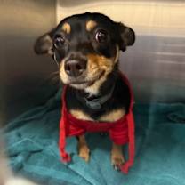 Thumbnail photo of Nyla* #2