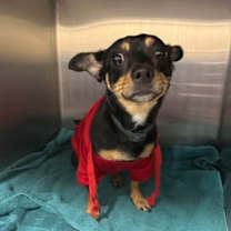 Thumbnail photo of Nyla* #3