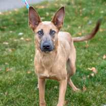 Thumbnail photo of Audrick #3