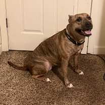 Thumbnail photo of Aspen #2