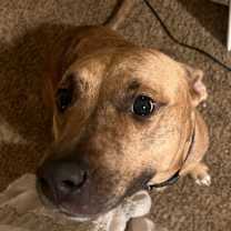 Thumbnail photo of Aspen #3