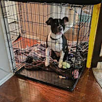 Thumbnail photo of Rya #1