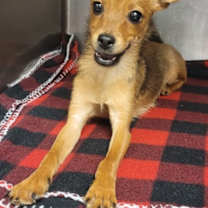 Thumbnail photo of 161515 #2