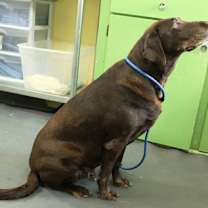 Thumbnail photo of Zara #3