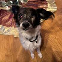 Thumbnail photo of Carpenter #1